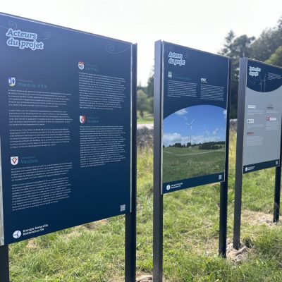 Mollendruz01_IMG_8648