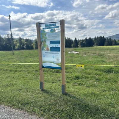 Mollendruz10_IMG_8607