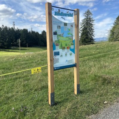 Mollendruz11_IMG_8609