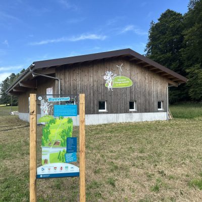 Mollendruz1_IMG_8645