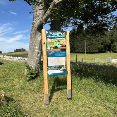 Mollendruz3_IMG_8640