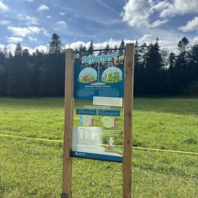 Mollendruz8_IMG_8602