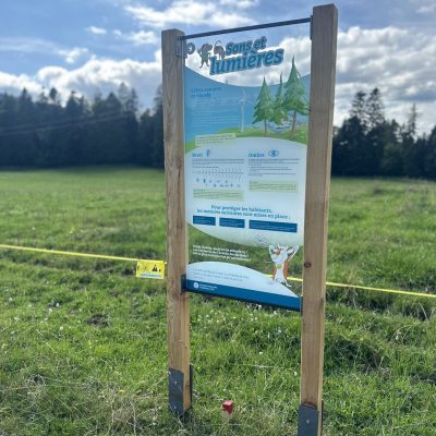 Mollendruz9_IMG_8603