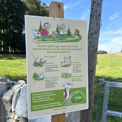 MollendruzX_IMG_8592